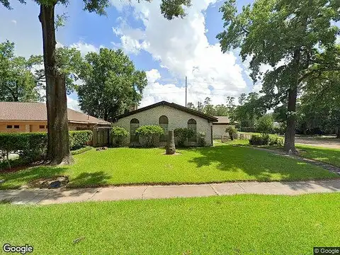 Rinn, HOUSTON, TX 77078
