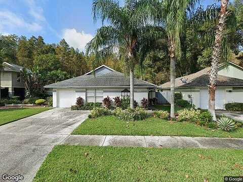 Birchwood, TAMPA, FL 33625