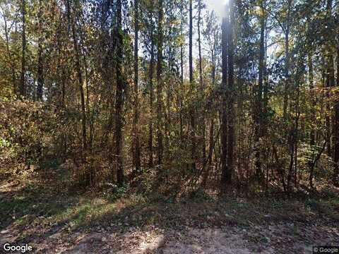King Bostick, COVINGTON, GA 30016