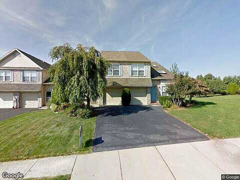 Celandine, ALLENTOWN, PA 18104