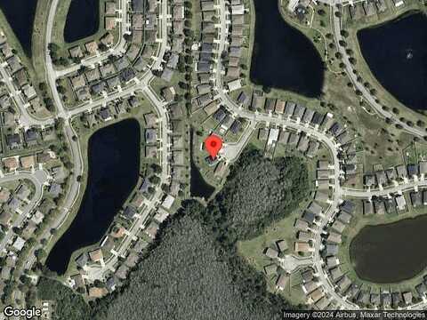 Tarsier, KISSIMMEE, FL 34744