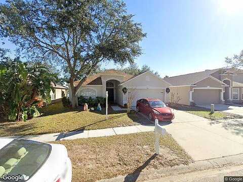 Osprey Cove, RIVERVIEW, FL 33578