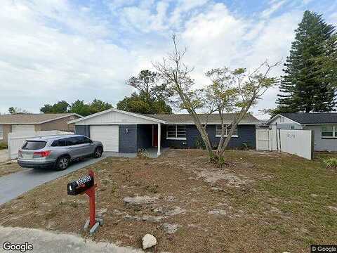 Chauncy, HOLIDAY, FL 34691
