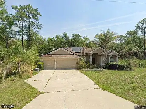 Magenta, CITRUS SPRINGS, FL 34434