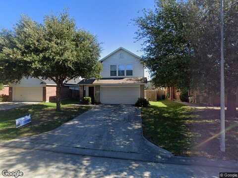 Yucca Tip, HOUSTON, TX 77073