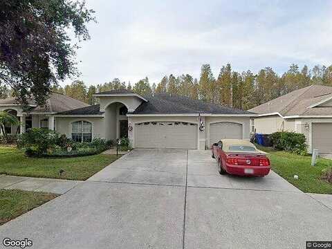 Morden Blush, LUTZ, FL 33558