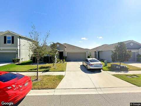 Sunshine Mimosa, WIMAUMA, FL 33598