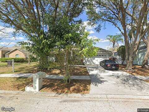 Monte Lake, VALRICO, FL 33596