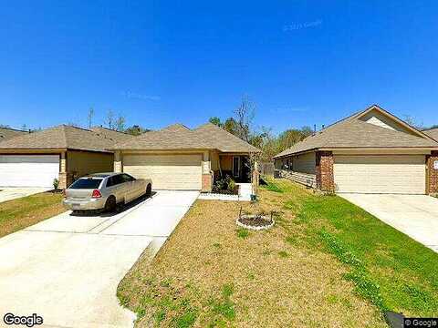 Italian Cypress, HOUSTON, TX 77044