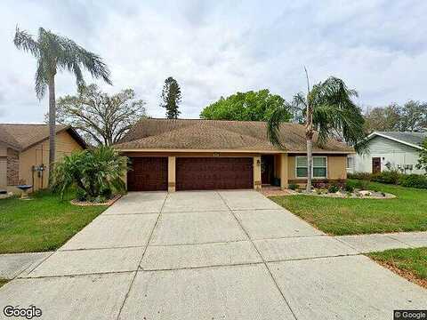 Astorwood, RIVERVIEW, FL 33579