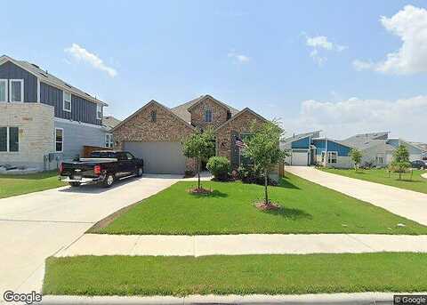 Brindle, MANOR, TX 78653