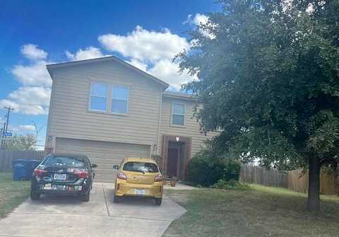 Catkin, SAN ANTONIO, TX 78245