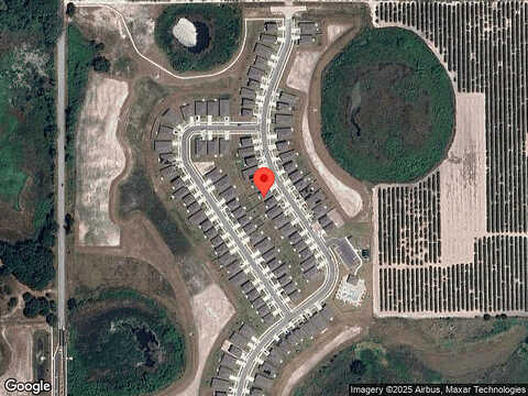 Reggie, WINTER HAVEN, FL 33884