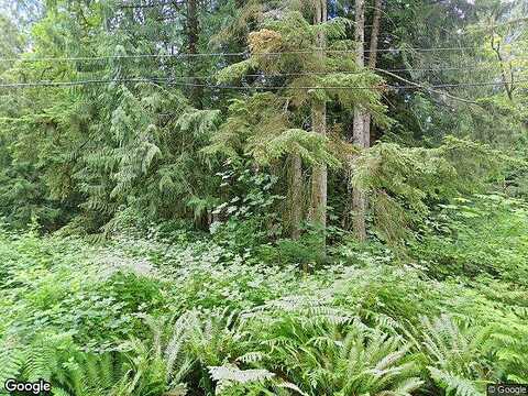 154Th, GRAHAM, WA 98338