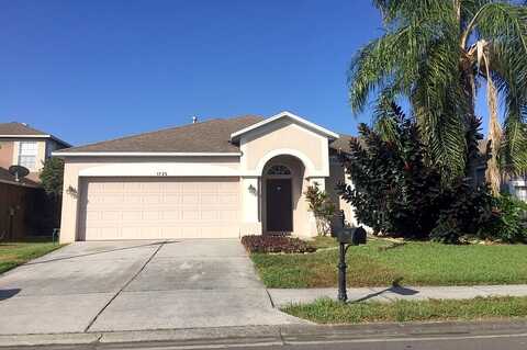 Lady Palm, TRINITY, FL 34655