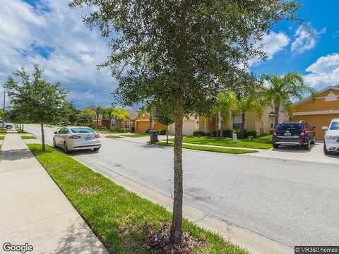 Orange Cosmos, DAVENPORT, FL 33837