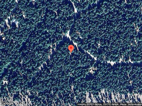 Savannah, SHINGLETOWN, CA 96088