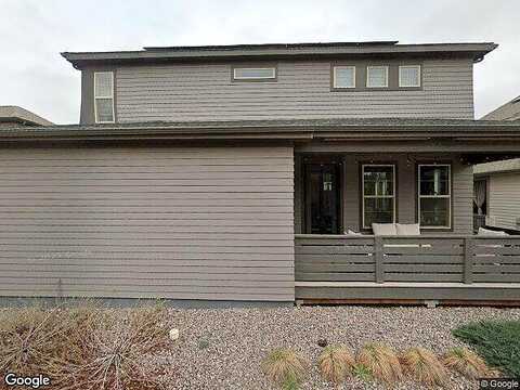 Inca Dove, LITTLETON, CO 80125
