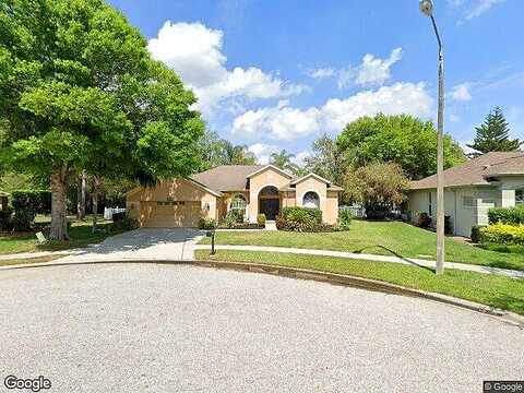 Wavyedge, TRINITY, FL 34655