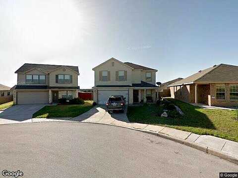 Texas Hawthorn, SAN ANTONIO, TX 78261