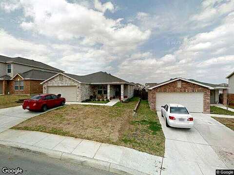 Rambling Rose, SAN ANTONIO, TX 78253