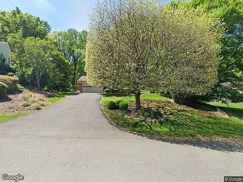 Blue Roan, OAKTON, VA 22124