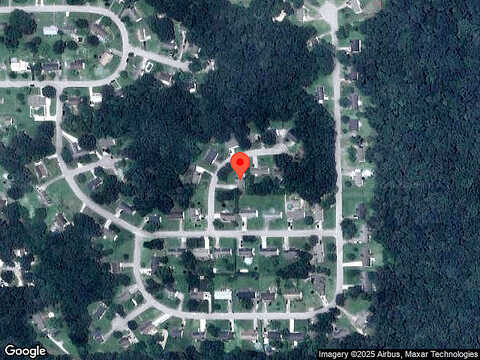 Squirrel, RINGGOLD, GA 30736