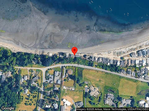 Whale, LANGLEY, WA 98260