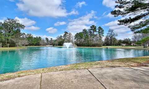 Bendrook, CONROE, TX 77384