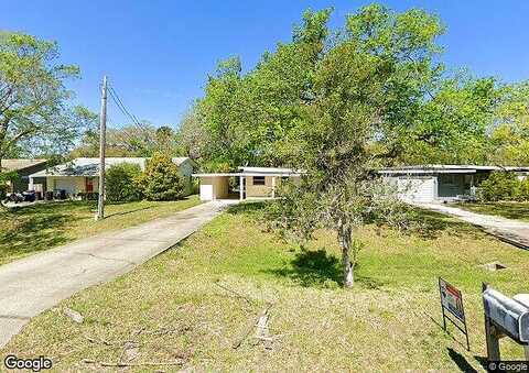 Big Tree, SOUTH DAYTONA, FL 32119