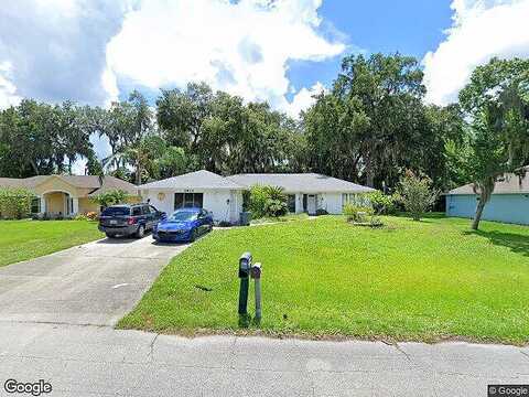 Needle Palm, EDGEWATER, FL 32141