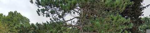 Skyview, STILLWATER, MN 55082