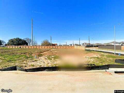 Escardilla, HOCKLEY, TX 77447