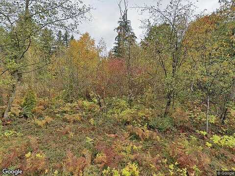 Peter Grubb, RENTON, WA 98058