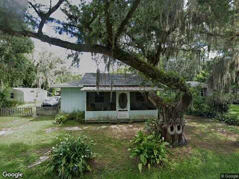 Jungle, NEW SMYRNA BEACH, FL 32168