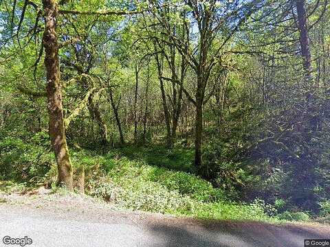 339Th, LA CENTER, WA 98629