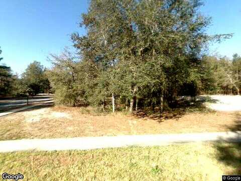Blue Heron, FANNING SPRINGS, FL 32693
