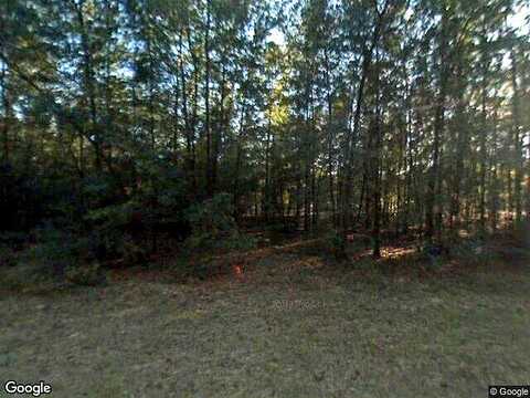 Phoenix, FORT WHITE, FL 32038