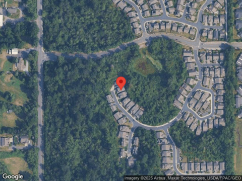 Fuchsia, BELLINGHAM, WA 98226