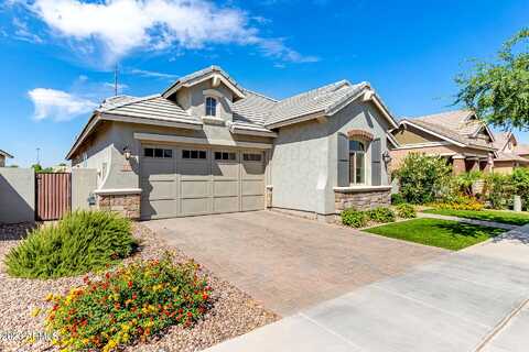 Cynthia, GILBERT, AZ 85295