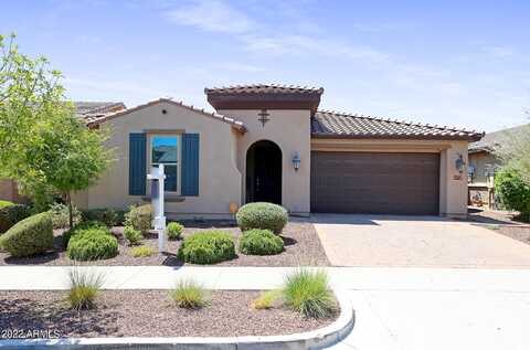 Briarwood, BUCKEYE, AZ 85396