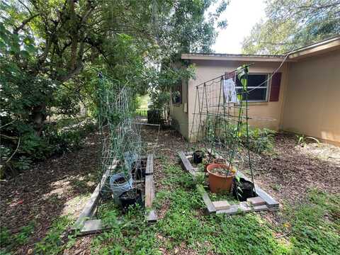 Cedar, SAFETY HARBOR, FL 34695