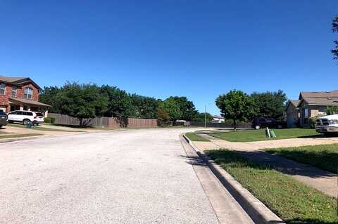 Moonmist, ROUND ROCK, TX 78665