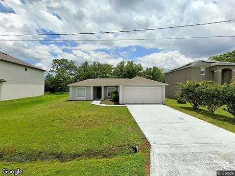 Parakeet, KISSIMMEE, FL 34759