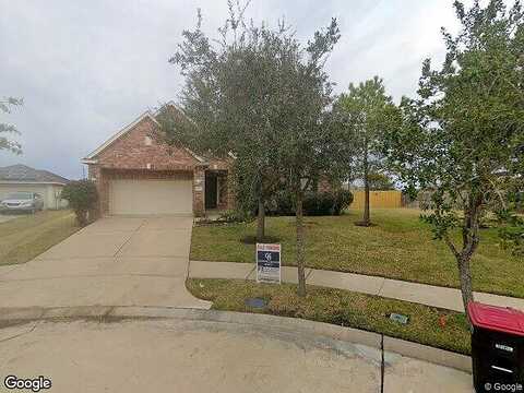 Silver Sage, ROSHARON, TX 77583