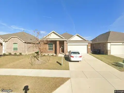 Tulip Poplar, MCKINNEY, TX 75071