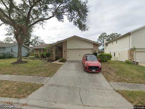 Turnstone, SAFETY HARBOR, FL 34695