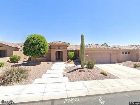 Celosia, SURPRISE, AZ 85387