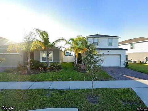 Eucalyptus, DAVENPORT, FL 33837