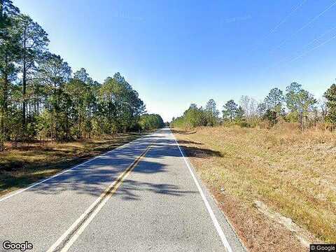 Lee Place, LUDOWICI, GA 31316